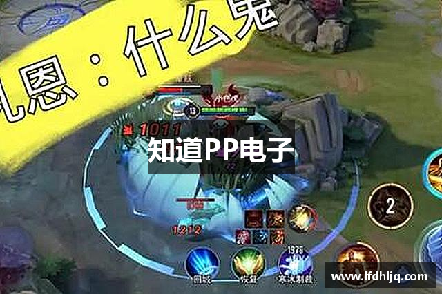 知道PP电子